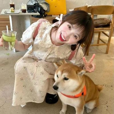 哎咕岛消失的舔甜歌姬海报