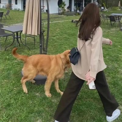 出发吧唱游团海报
